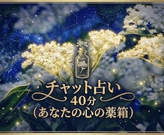 ４０分チャット◆寄り添い霊視で占います