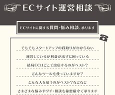 ECサイトに関する質問・悩み相談、承ります スタートアップ・立て直しで差がつく考え方もお教えできます