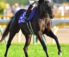 中央競馬各競馬場の馬券の"キモ"教えます