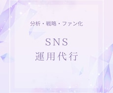 SNS運用代行｜世界観で整えるブランディングます イメージ1