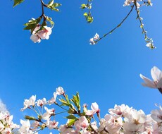 子育てのお悩み、少しでも軽くします イメージ1