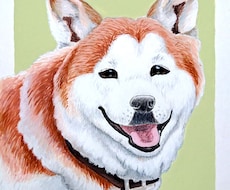 ペット＆動物の似顔絵を写真からお描きします ペットや動物を画像から可愛くお描きいたします！