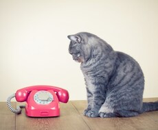 貴方、貴女のお話し聞きます イメージ1