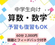 中学生へ算数・数学のレッスンをします ⭐︎現役塾講師による指導⭐︎ “復習”も“予習”どちらもOK