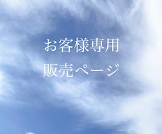 お客様専用ページ対談での相談に対応します EC運営についてのコンサル前確認をいたします。