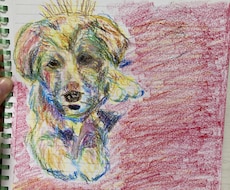 ペットちゃんの似顔絵をクレヨンで色紙にかきます イメージ1