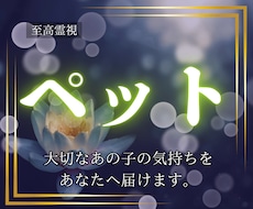 至高霊視｜大事なペットの本当の気持ちを伝えます イメージ1