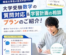 大学受験数学に関する質問対応、指導をいたします イメージ1