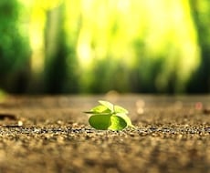 知っておかねばならぬ【相性★裏側の真実】鑑定します たとえ❝離れたほうが良い相手❞であっても秘法をお伝え致します