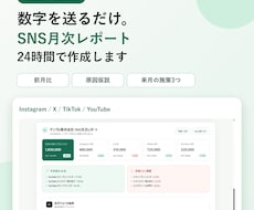 SNS月次レポートを24時間で作成します イメージ1