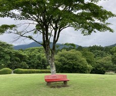 秘密厳守！夫婦関係のお悩み,お仕事のお悩み聞きます イメージ1