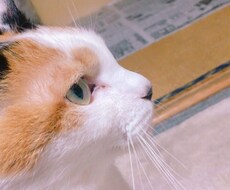 なんでもお話聞きます イメージ1