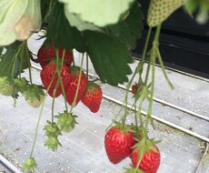 あなたの愚痴なんでも聞きます。 イメージ1