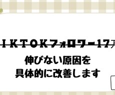 TikTokフォロワー17万人が教えます イメージ1
