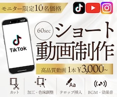モニター価格★丸投げOK！ショート動画編集します イメージ1