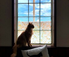 看護師　なんでも話し相手になります イメージ1
