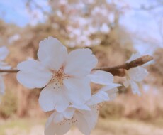 恋愛相談承ります イメージ1