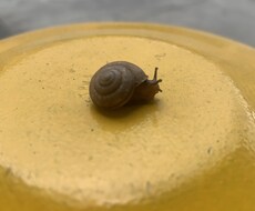うなずきます イメージ1
