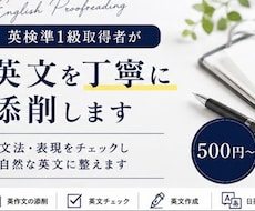 英検準1級取得者が英文を丁寧に添削します イメージ1