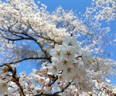 あなたのお話なんでも聞きます イメージ1