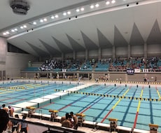 本気のダイエットやトレーニングをサポートします 【ダイエット・トレーニング】【水泳のメニュー作成します！】
