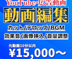 あなたのYouTube動画を丁寧に編集いたします イメージ1