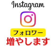 Instagramフォロワー増やします 日本人＋100人増加【30日間減少保証】