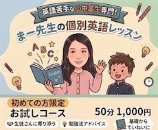 お試し1回！個性に合わせた英語レッスンをします イメージ1