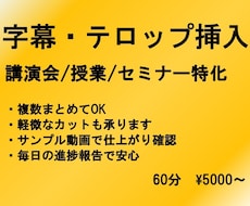 動画に字幕を入れます イメージ1