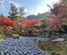 京都市内の観光地、穴場スポット写真代行致します イメージ1