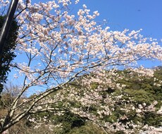 僕に出来ることなら何でもします イメージ1