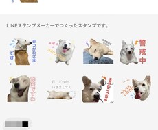 ペットLINEスタンプ制作致します イメージ1
