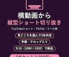 横動画から縦型ショート動画を作成します イメージ1