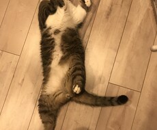お悩み相談お受けします イメージ1