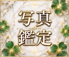 顔写真で本心・ご縁・人生の流れを深く視				ます 恋愛を中心に、仕事・人間関係・未来の方向性まで読み解きます	