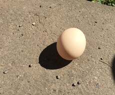 壁打ち相手になります イメージ1