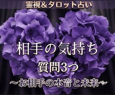 あなたにあった方法で彼の本音を詳しく占います ⁠元保育士があなたの100%味方になり、寄り添います