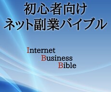 超初心者向けの『ネット副業バイブル』販売します イメージ1