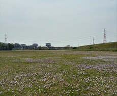 人間関係（恋愛、仕事、家族等）の相談乗ります イメージ1