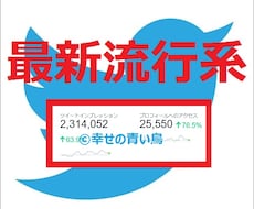 【★属性指定▶最新流行系★】TwitterアカウントでCM情報拡散宣伝PR