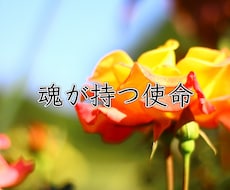 なんのために生まれてきた？魂の使命をお伝えします 過去世から続く、あなたの目指す在り方を守護霊に聞きます