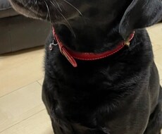 恋愛・家族・対人・仕事関係など親身に相談にのります イメージ1