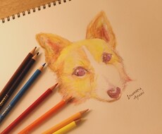 ペットの似顔絵描きます イメージ1