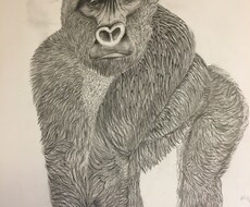似顔絵を描きます イメージ1