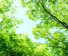ECショップ／お客様対応の疑問、相談にのります イメージ1