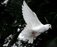 お相手の気持ちを透視します お相手の今の気持ちをお教えします