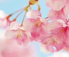 あなたのお話聞かせて下さい！ イメージ1
