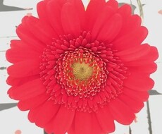 働く貴方の悩みと行く末鑑定します 。今のまま進むとどうなるか？明るい未来に進むには？