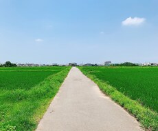 朝が苦手な方を3日間スッキリ目覚めさせます イメージ1
