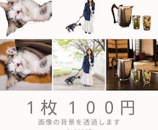 写真の背景透過をいたします イメージ1